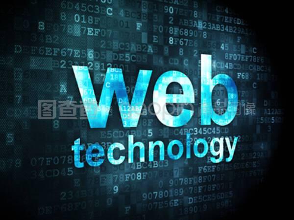 數(shù)字背景下的SEO網(wǎng)絡(luò)開發(fā) 技術(shù)與策略解析